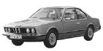 BMW E24 P0AFB Fault Code